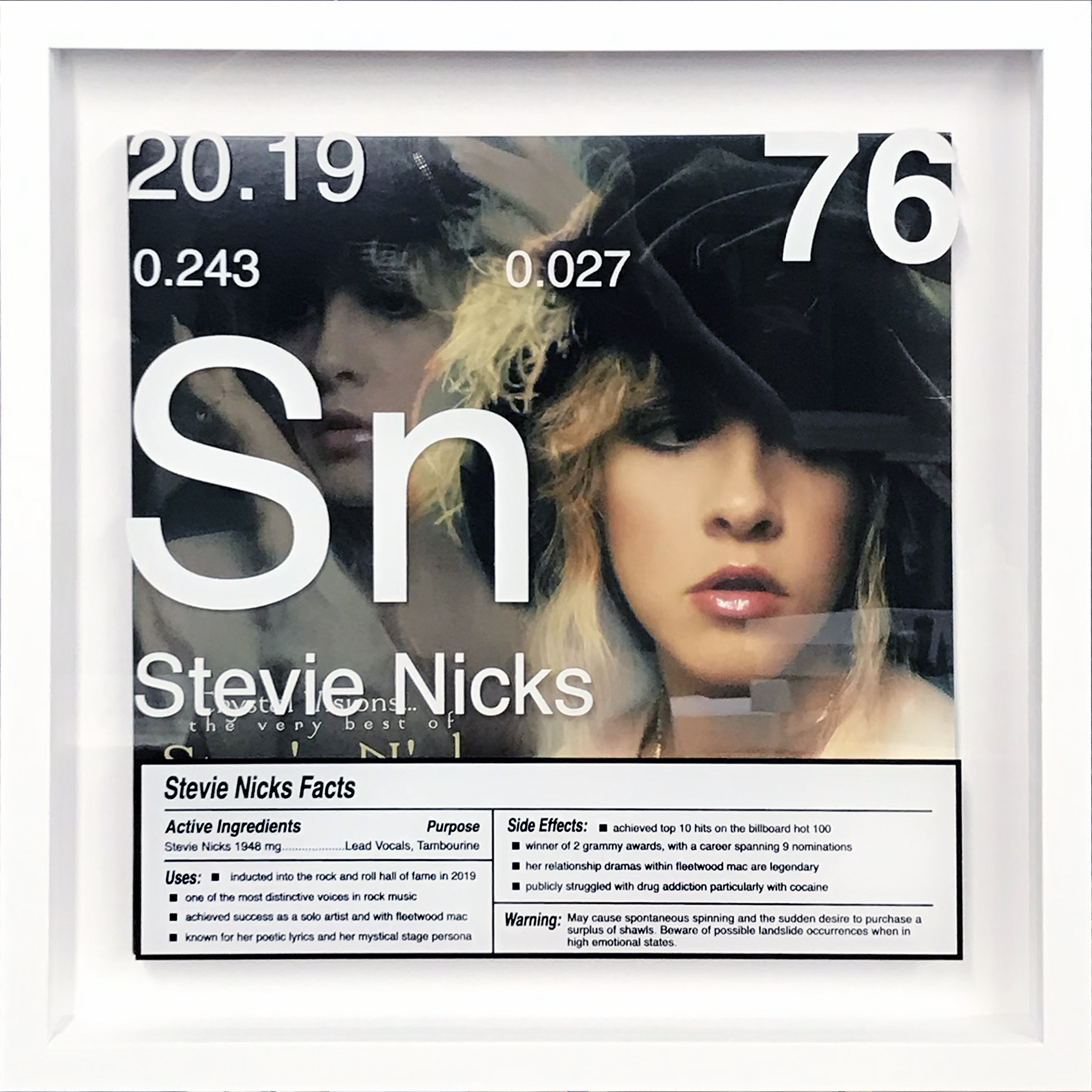 Stevie Nicks artwork
